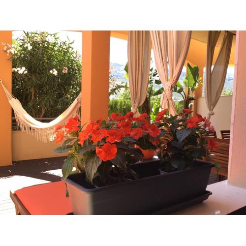 Denia Deluxe Chillout Experience