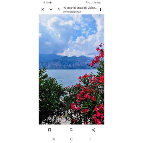 Di fronte al Lago