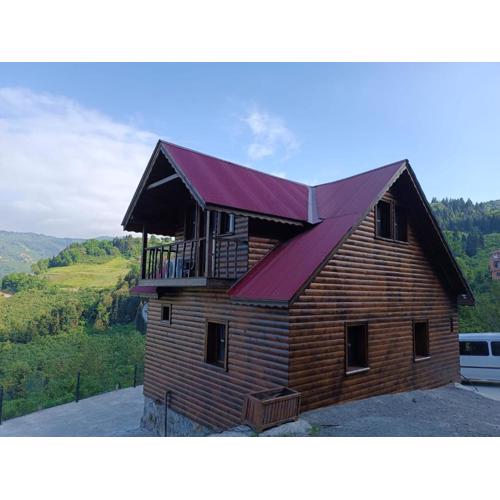 Diamond Tree House