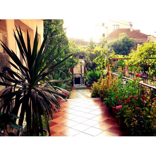 Diana Guesthouse