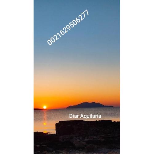 Diar Aquilaria dar Meriem