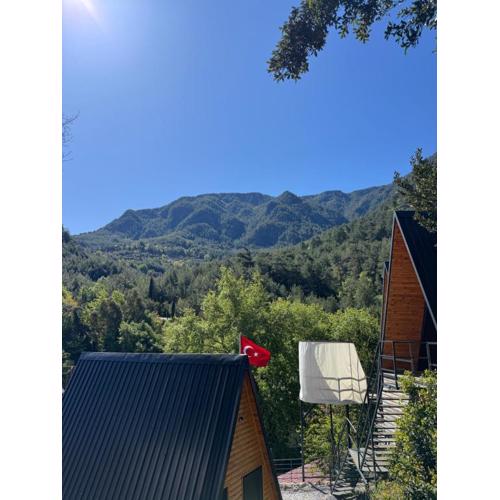 Dimçayı Yağız Bungalov
