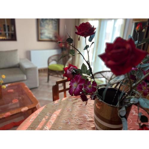 Dimi view home