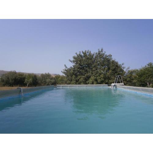 Dimore del Carrubo - openspace con piscina