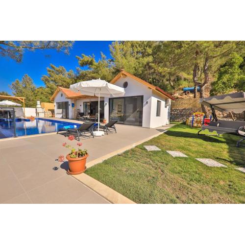 Doğa Manzaralı Villa Kozalak Kalkan