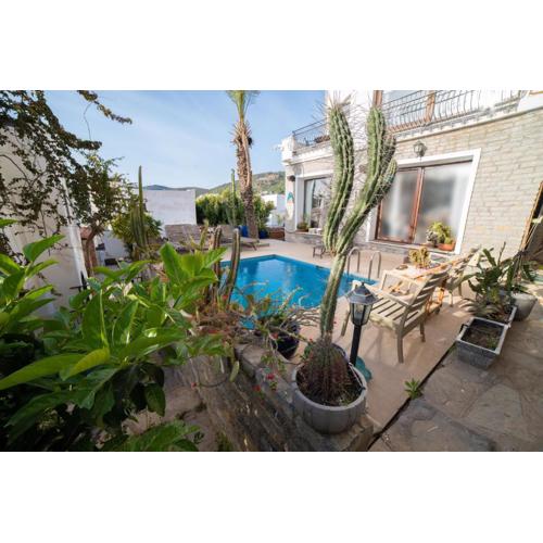Dolphin Villa