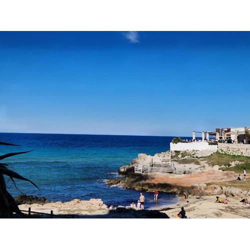 Domus Divina & Domus Elegans Fronte Mare