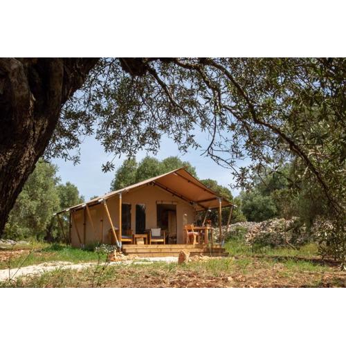 Domus Olea Glamping