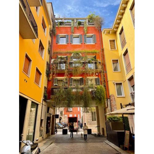 Domus Pellicciai