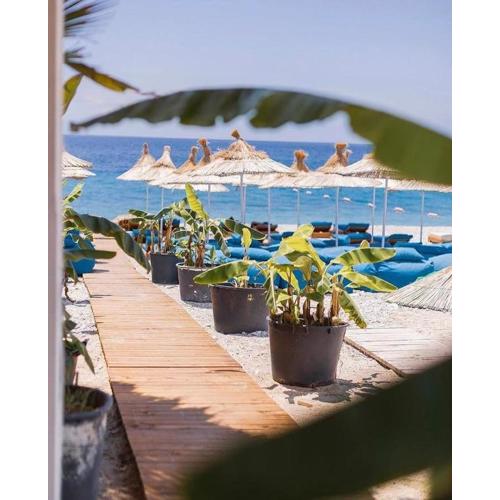 Don Mare