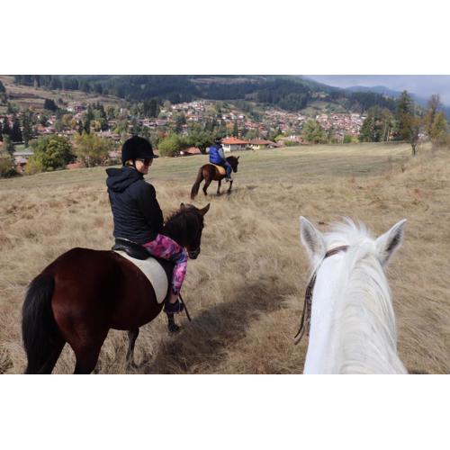 Dona Guest House - Horse Riding