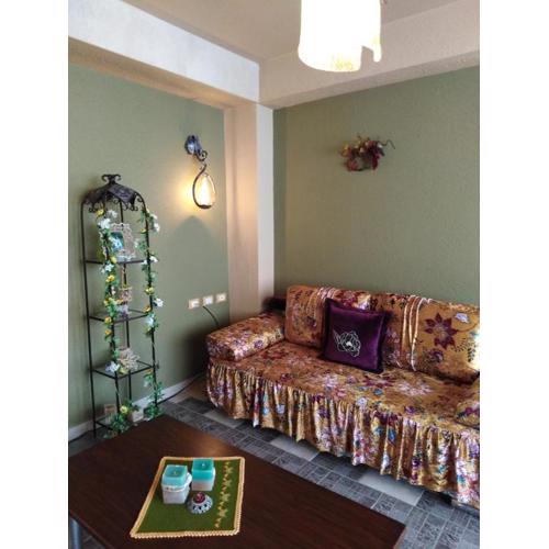 DOWN TOWN LUXURY Apartment