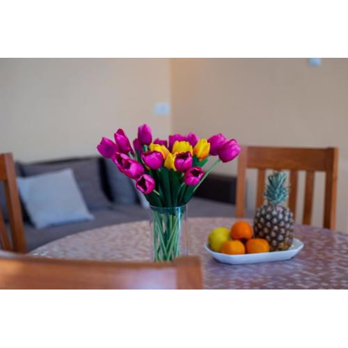 Dr. Jo~ 2 bedroom apartment with free parking ~