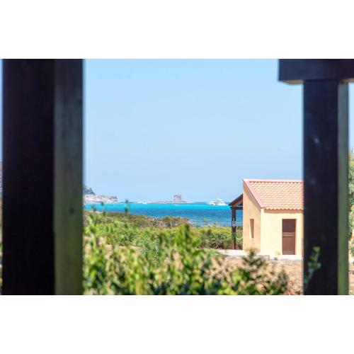 DREAM on the SEA - STINTINO
