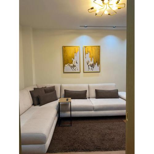 Dry Lake Apartment