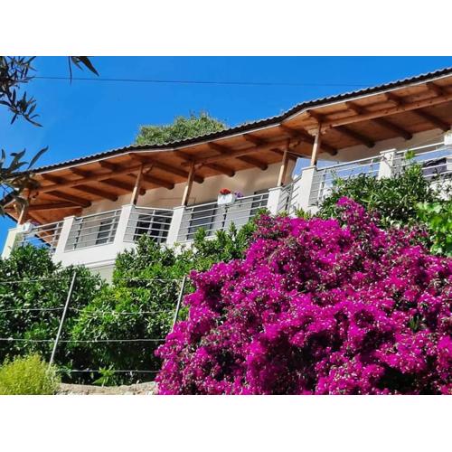 Eduard Lagji Apartament
