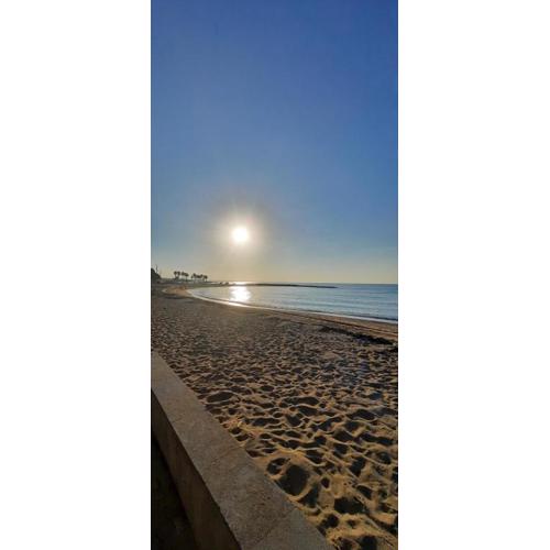 El COSy de la COSta