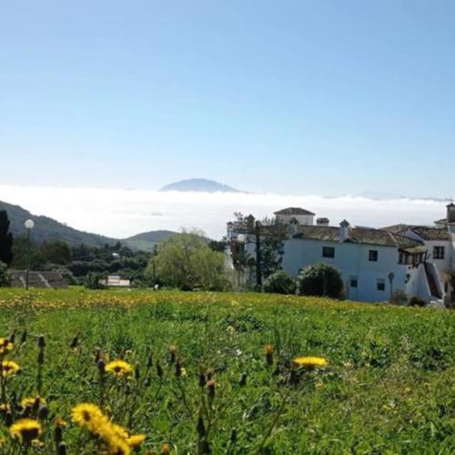 El Cuartón Tarifa \