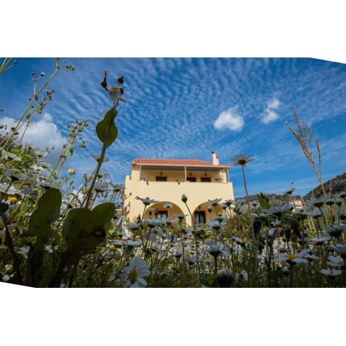 Elaionas Studios