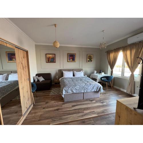 Elegant and cozy room ARAKS