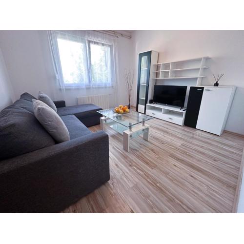 Elegant apartman Grey