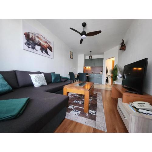 Elegant Apartment Ski Access Premium Spa