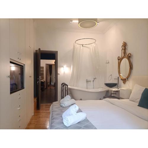 Elegant Apartment