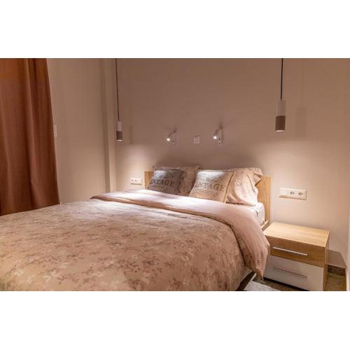 Elegant Apt 5\