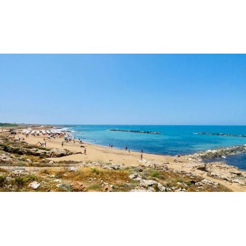 Elegant beachside apt - 1 min walk to Venus beach