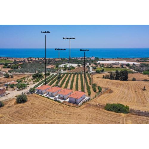 Eleonas Seaview Cottages