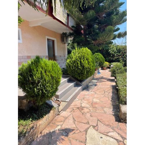 Elias Guest House