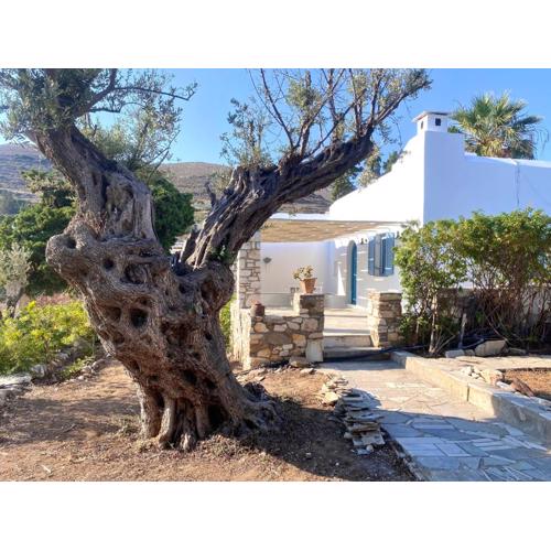 Elitas Lodge: Cosy Cycladic home outside Paroikia