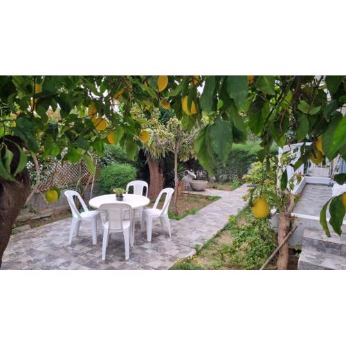Elpida Lemon Garden House