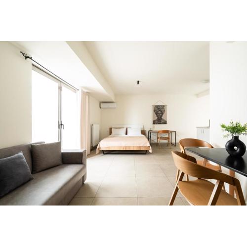 Elysee apartment 8