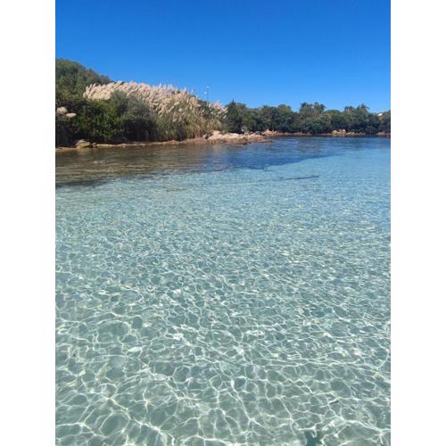 Emadi House Porto Rotondo