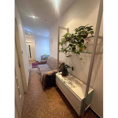 Entire 3bed rooms apartment,centrum