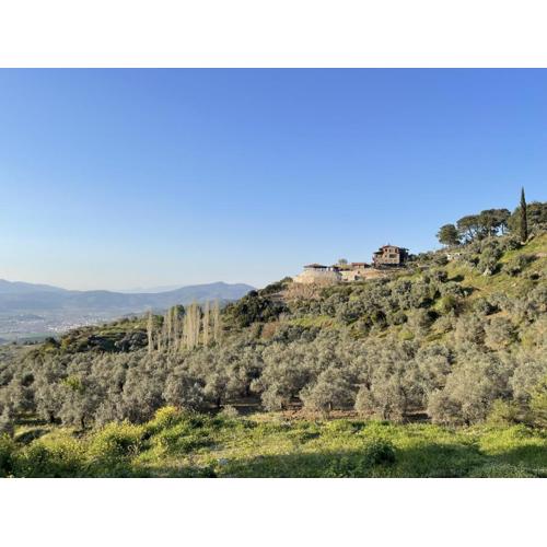 EPHESUS RETREAT