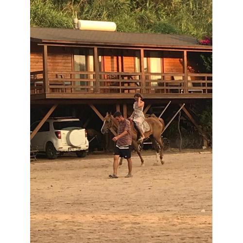 Equestrian and Beach Club