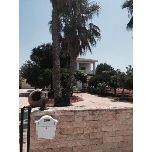 Erini Villa