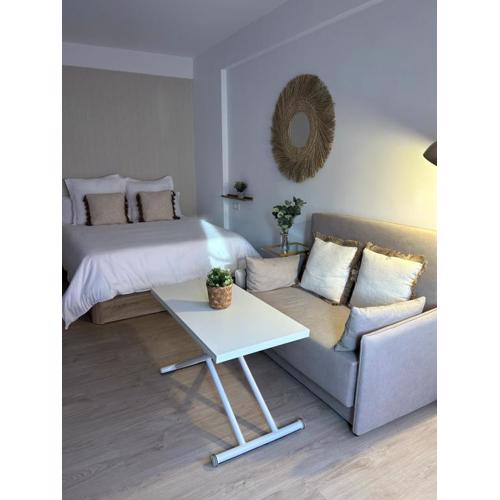 Estudio centro Marbella