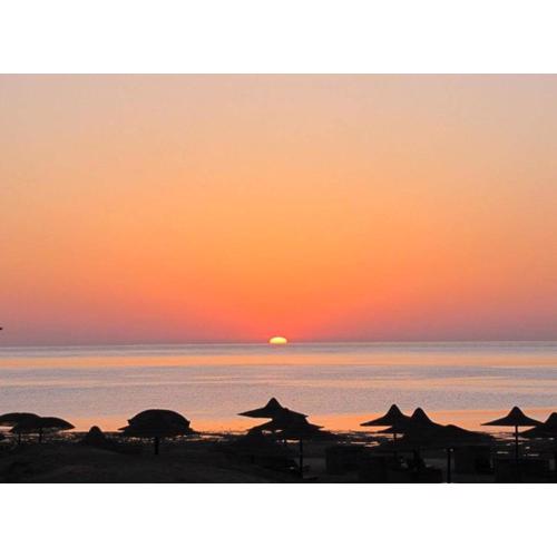 Estudio, Playa de Denia