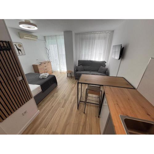 Estudio Torrevieja