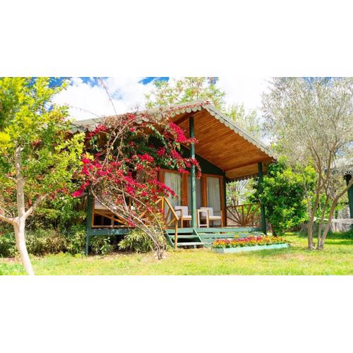 Etenna Beach Bungalows