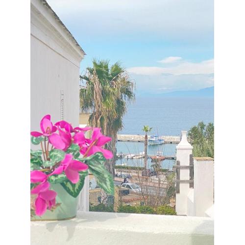 Euploia Apartment