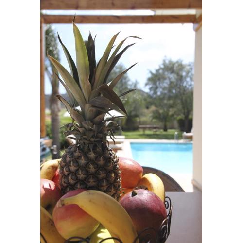 Eve Pissouri Rozaki Villa