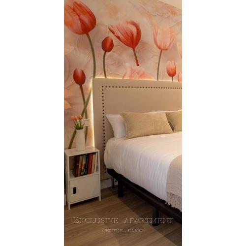 Exclusive Apartment Center Gijón