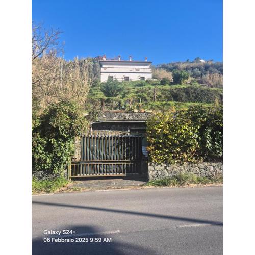 Executive Flat Da Natalino