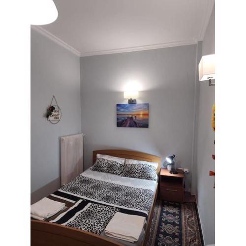 Experience Comfort 5 alfa