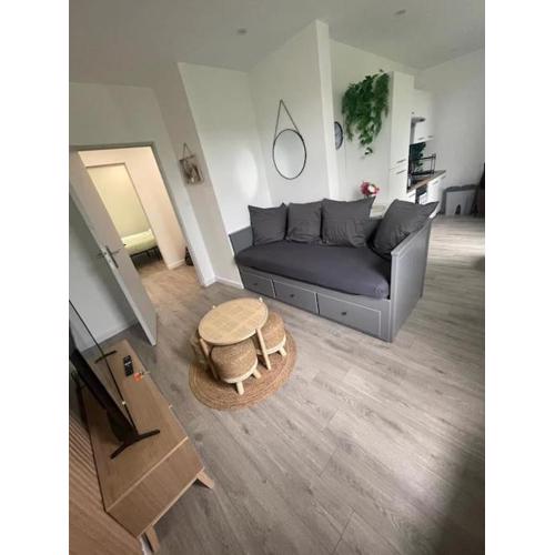 F4 Élégant - Strasbourg Cosy