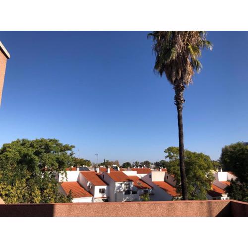 Familia Anfitriona acoge terraza